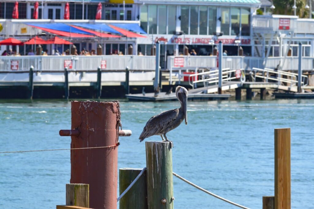 The Best Seafood Restaurants on Florida's Gulf Coast