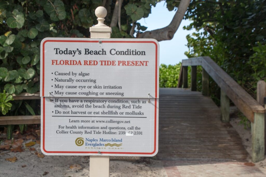 Naples to Marco Island: A Perfect Southwest Florida Day Trip