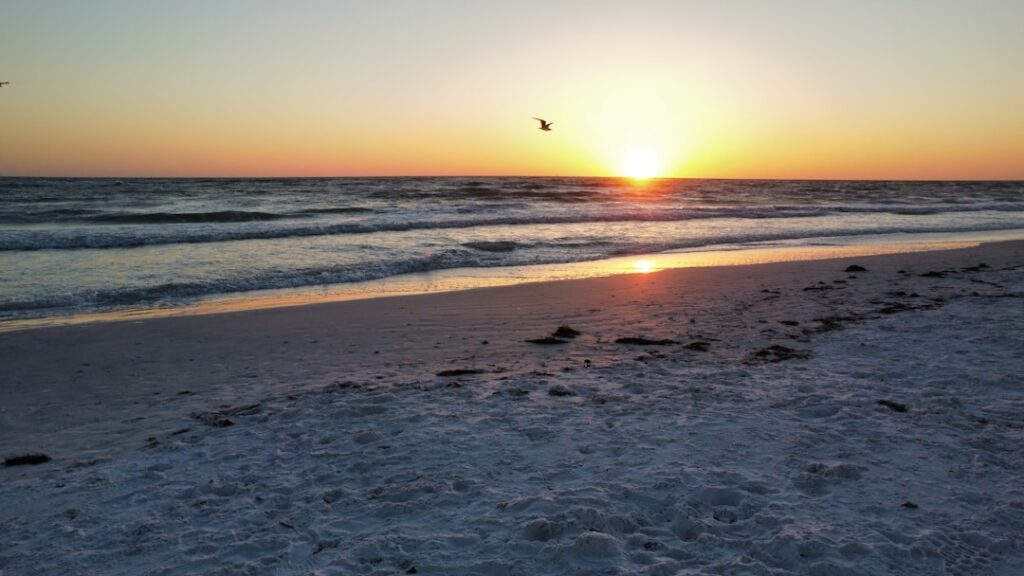 Exploring Sarasota: Arts, Beaches, and Gulf Coast Culture