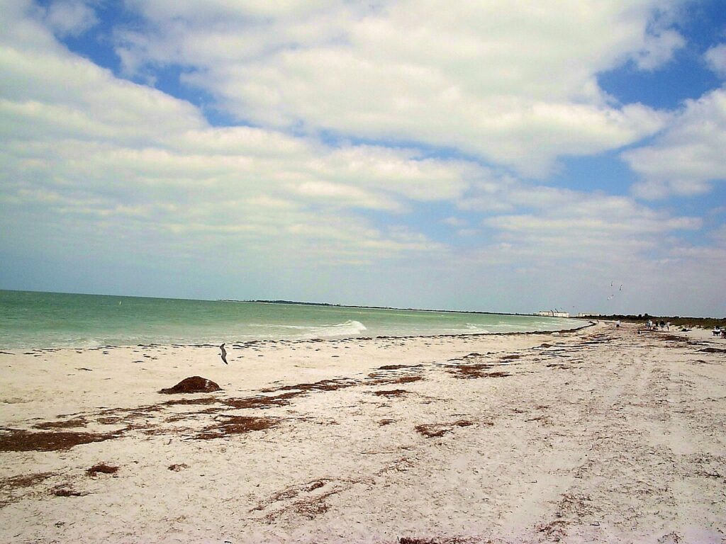 Caladesi island beach 01.jpg