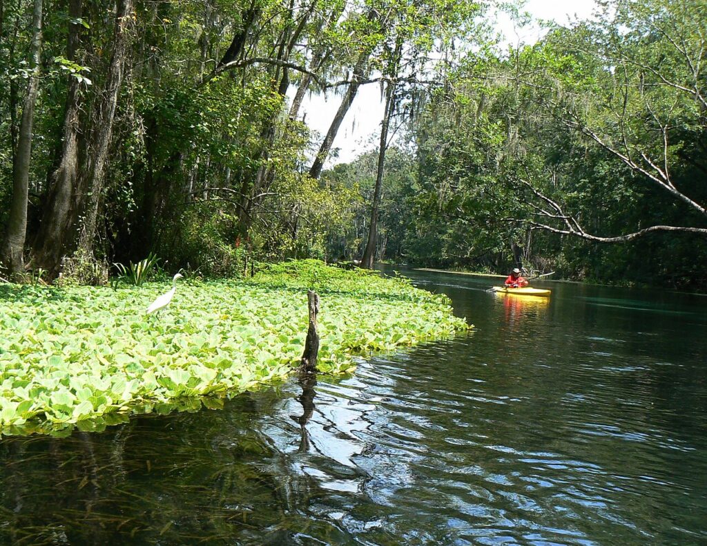 IchetuckneeRiv2006.jpg