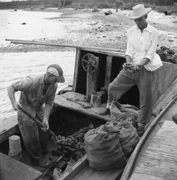 Unidentified oystermen at work in Apalachicola, Florida (9772229522).jpg